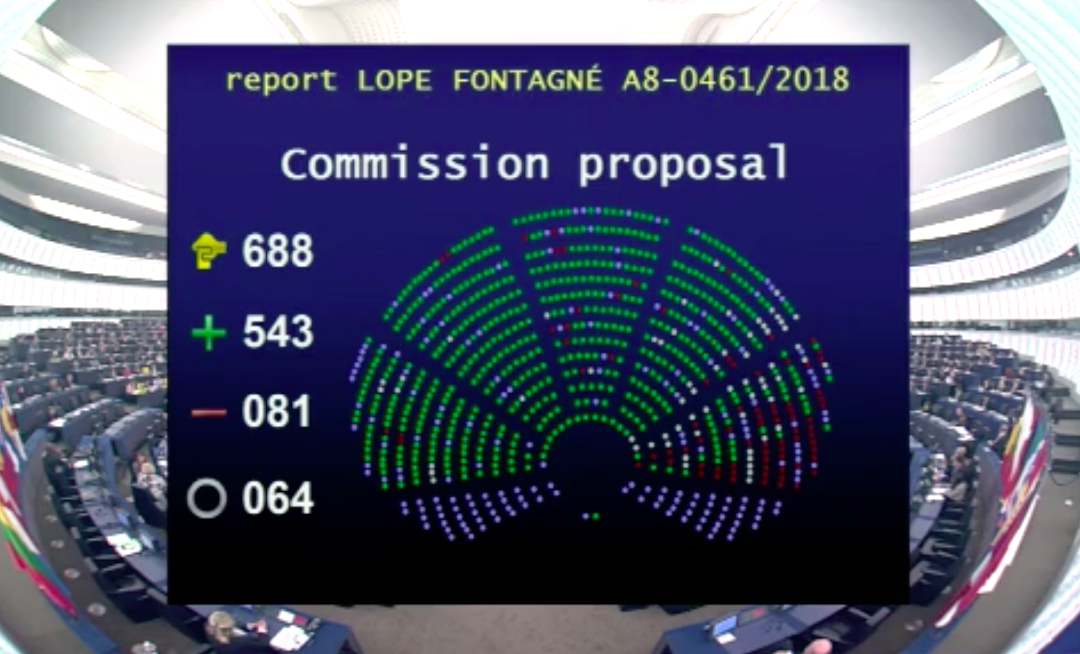 Adopted European Parliament report on ESF+: a step forward for Roma inclusion