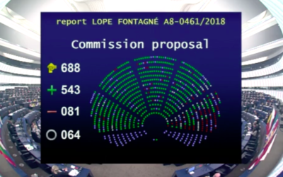 Adopted European Parliament report on ESF+: a step forward for Roma inclusion