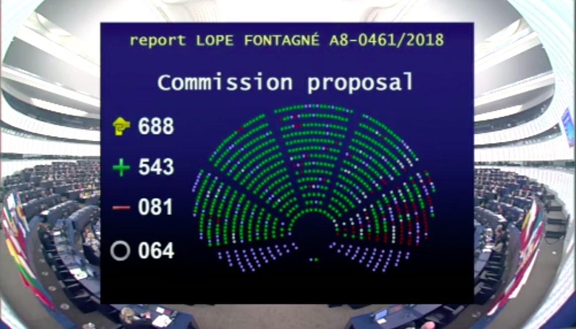 Adopted European Parliament report on ESF+: a step forward for Roma inclusion