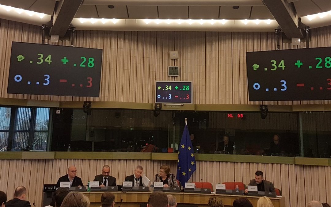 European Parliament REGI Committee calls for specific mention to Roma in post-2020 ERDF and Cohesion Fund Regulation