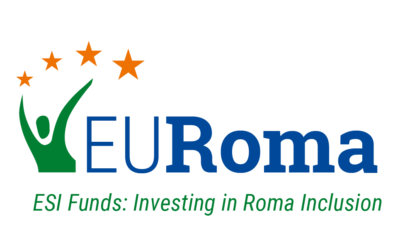 29-30 June: Next EURoma online Management Committee meeting