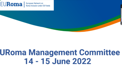 EURoma Network organises its online Management Committee meeting