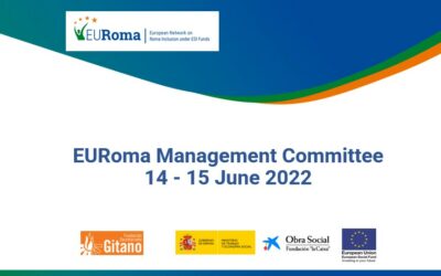 14-15 June: Next EURoma online Management Committee meeting
