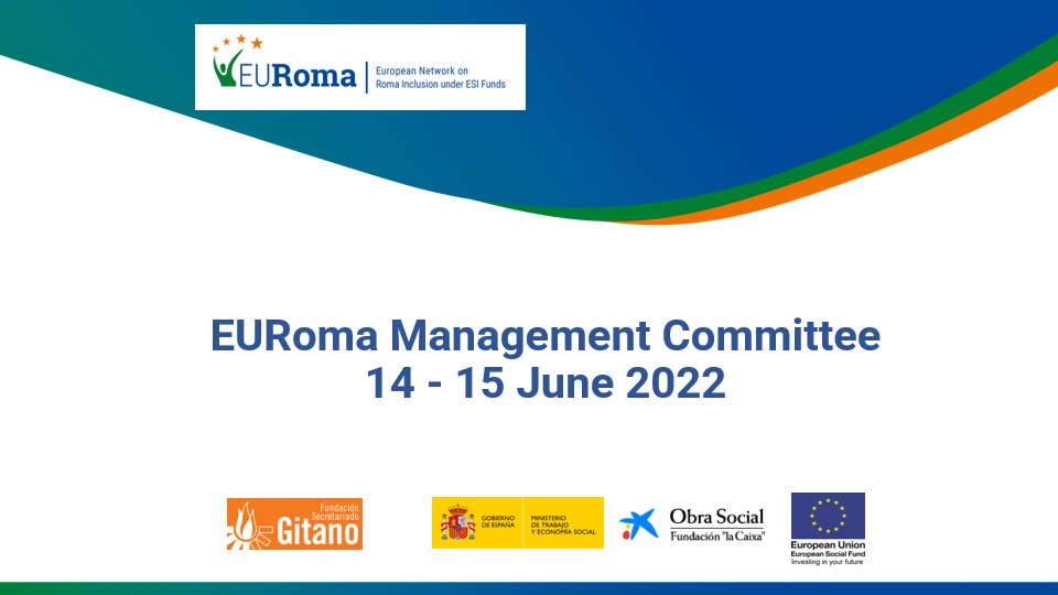 14-15 June: Next EURoma online Management Committee meeting