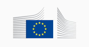 Contribute to European Commission’s mid-term evaluation on ESF+