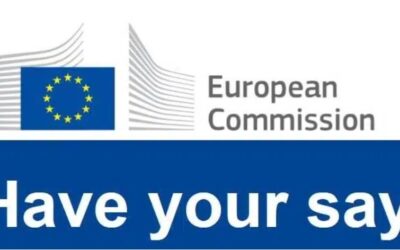 National Roma Strategic Frameworks – European Commission opens call for evidence for its third implementation report